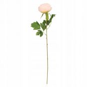 Kwiaty piwonia 60cm różowa Home And Garden (1815)