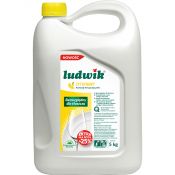 Płyn do naczyń płyn do naczyń cytrynowy 5000ml Ludwik