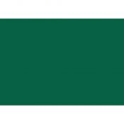 Brystol zielony ciemny B1 zielony ciemny 270g 20k [mm:] 700x1000 Kreska