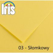 Brystol Canson Iris 03 A4 słomkowy 120g 100k (200040002)