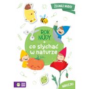 Książeczka edukacyjna Zielona Sowa Rok bez nudy. Co słychać w naturze