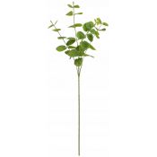 Kwiaty gałązka eukaliptus 63 cm Home And Garden (2006)