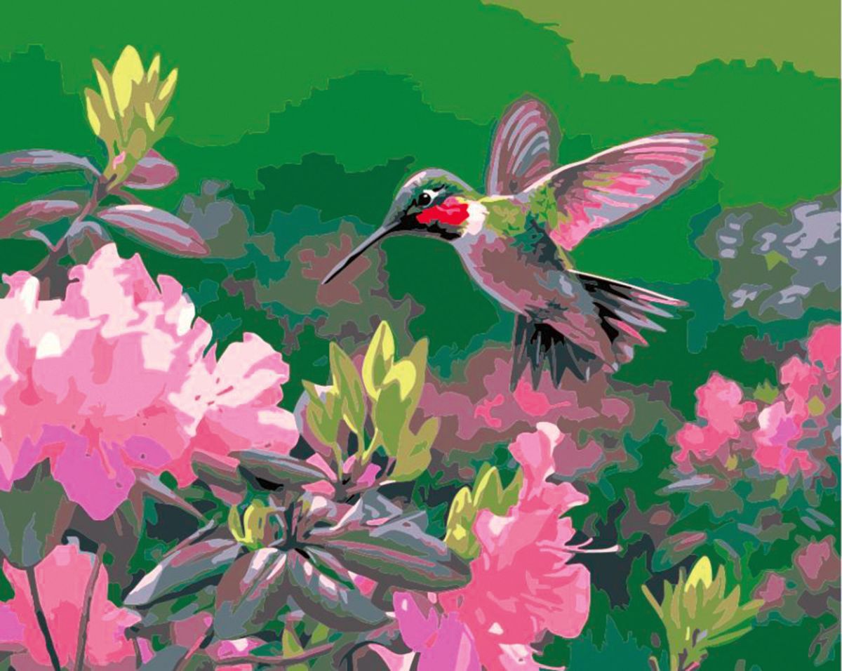 Zestaw kreatywny Flamingo Line Malowanie po numerach 40x50cm Koliber (FSY213)