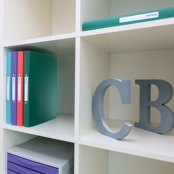 Segregator ringowy Colour Breeze A4 25mm niebieski Esselte (626242)