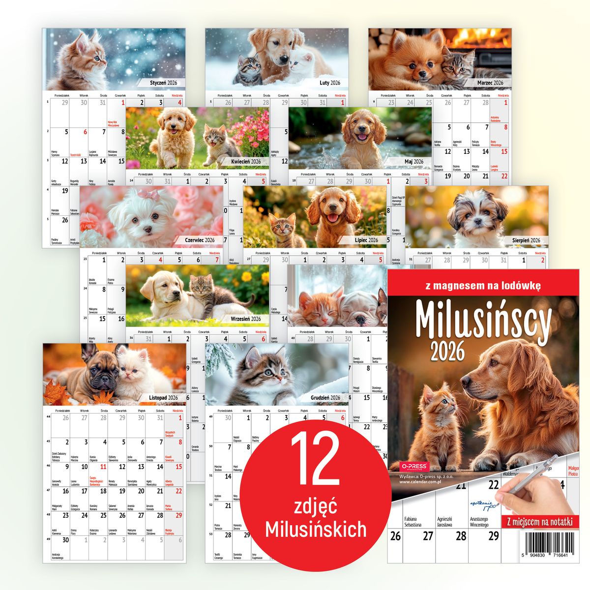 Kalendarz ścienny na lodówkę z magnesem 137mm x 210mm Press (MILUSIŃSCY)