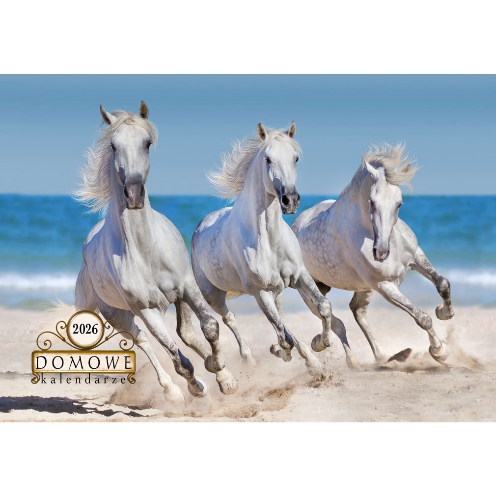 Kalendarz ścienny wieloplanszowy 200mm x 280mm Michalczyk i Prokop (TW-10-6)