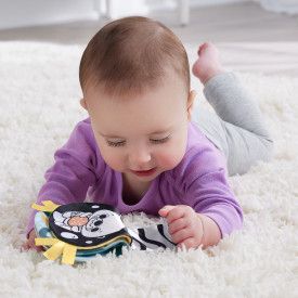 Zabawka edukacyjna Rozkołysana Wyderka 2w1 Poduszeczka Fisher Price (HXG96)