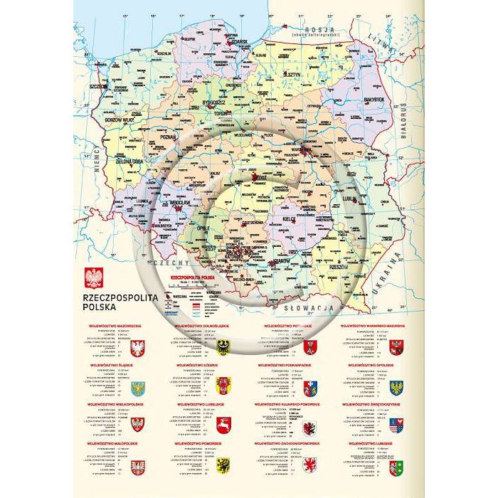 Kalendarz książkowy (terminarz) Vivella terminarz B5 Lucrum (51T-V)